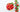 skin benefits of acerola cherries