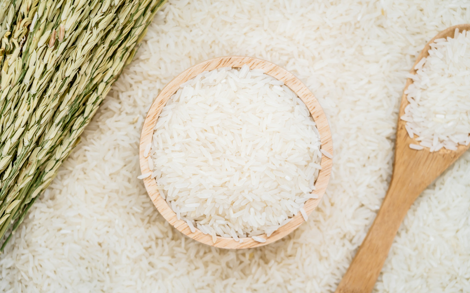 Rice Extract: Your Skin's New Friend With Benefits – Seriously Fab®