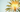 Photoaging Explained Plus Prevention Tips to Look Younger Longer